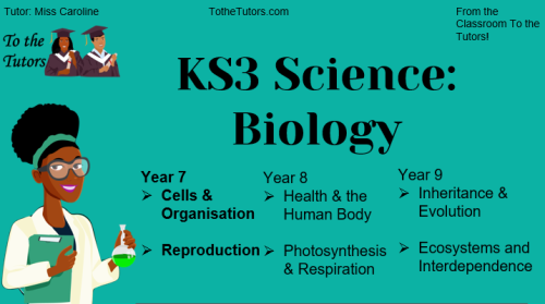 Year 7 - KS3 Science: Biology